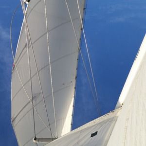 Meet your Posher, Rick